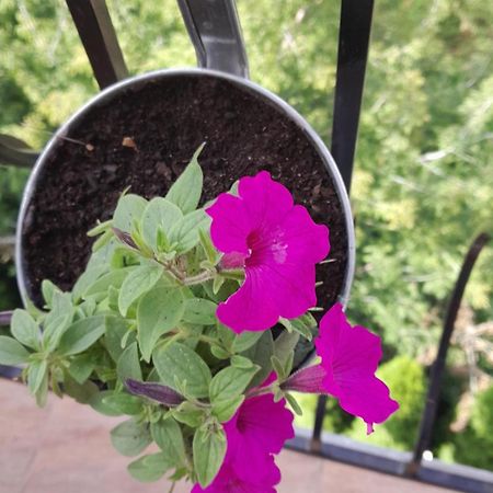 Apartamenty Puk Puk Mrągowo Dış mekan fotoğraf