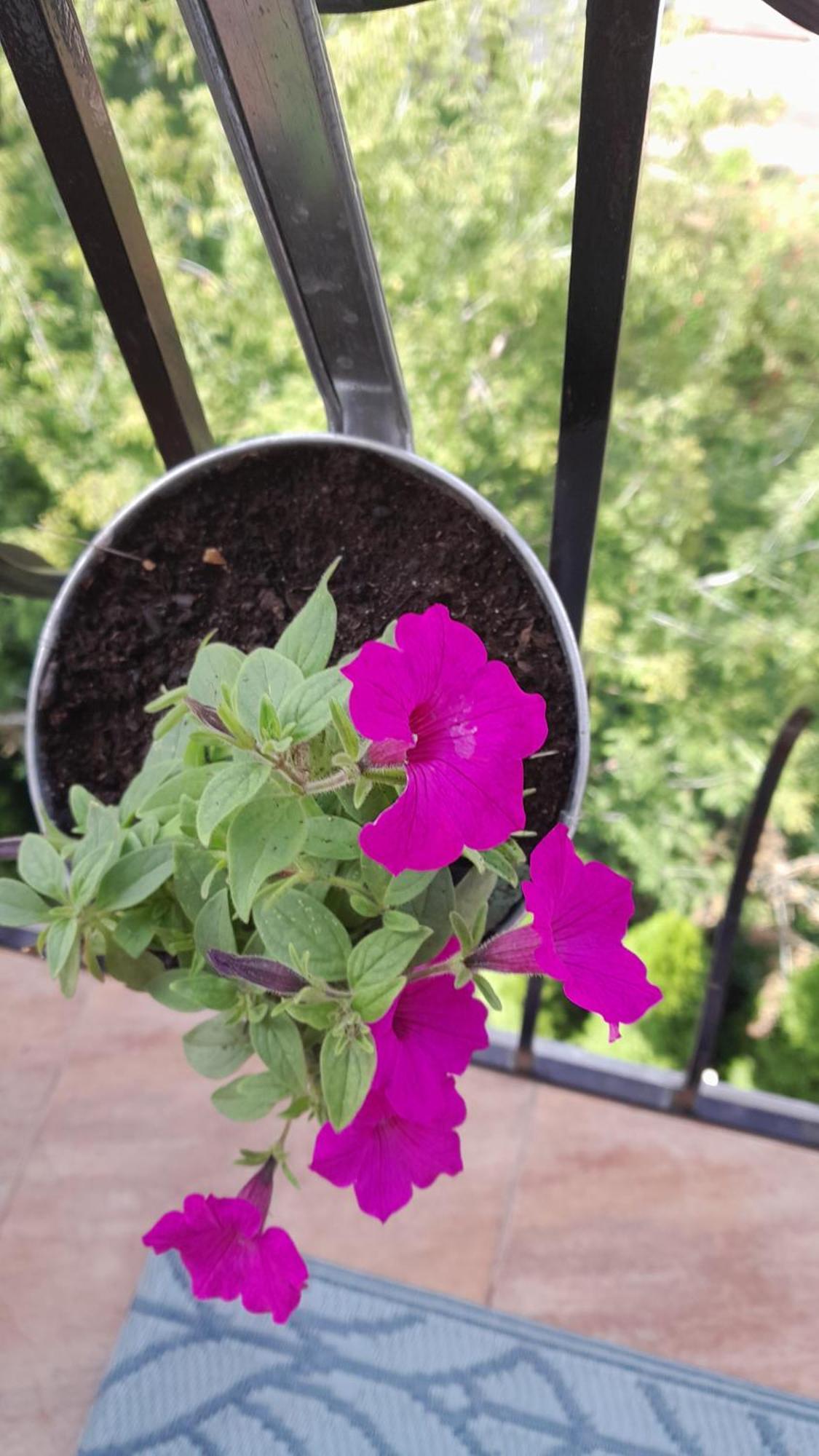 Apartamenty Puk Puk Mrągowo Dış mekan fotoğraf